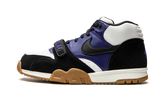 SB Air Trainer 1 "Polar Skate Company" CI6892 001