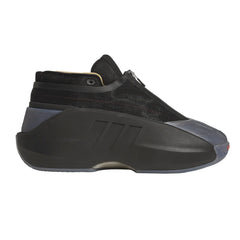 Crazy Iiinfinity Shoes