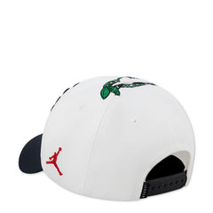 Youth Jordan AJ13 Cherry Dice Rise Dad Cap