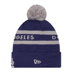 Knit 2-Tone Pom OTC Beanie