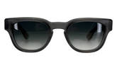 Cuntvoluted Sunglasses "18K Gold Plated - Graphite Translucent" CHRM0974