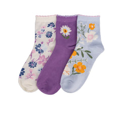 3 Pack Medium Scalloped Quarter